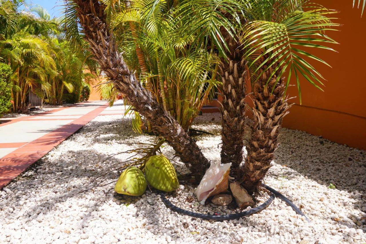 Cariñas Studio Apartments Palm Beach Exterior foto