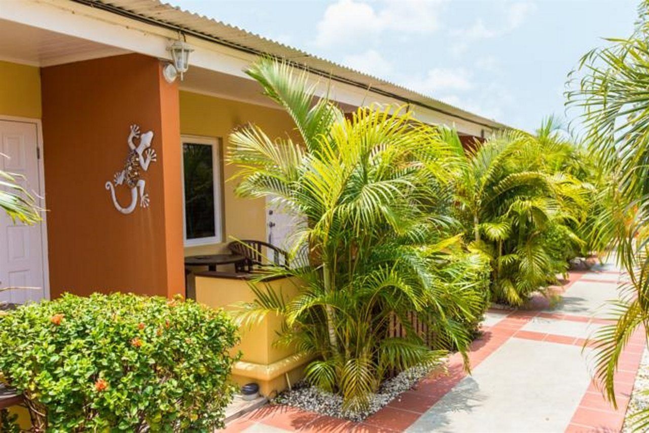 Cariñas Studio Apartments Palm Beach Exterior foto